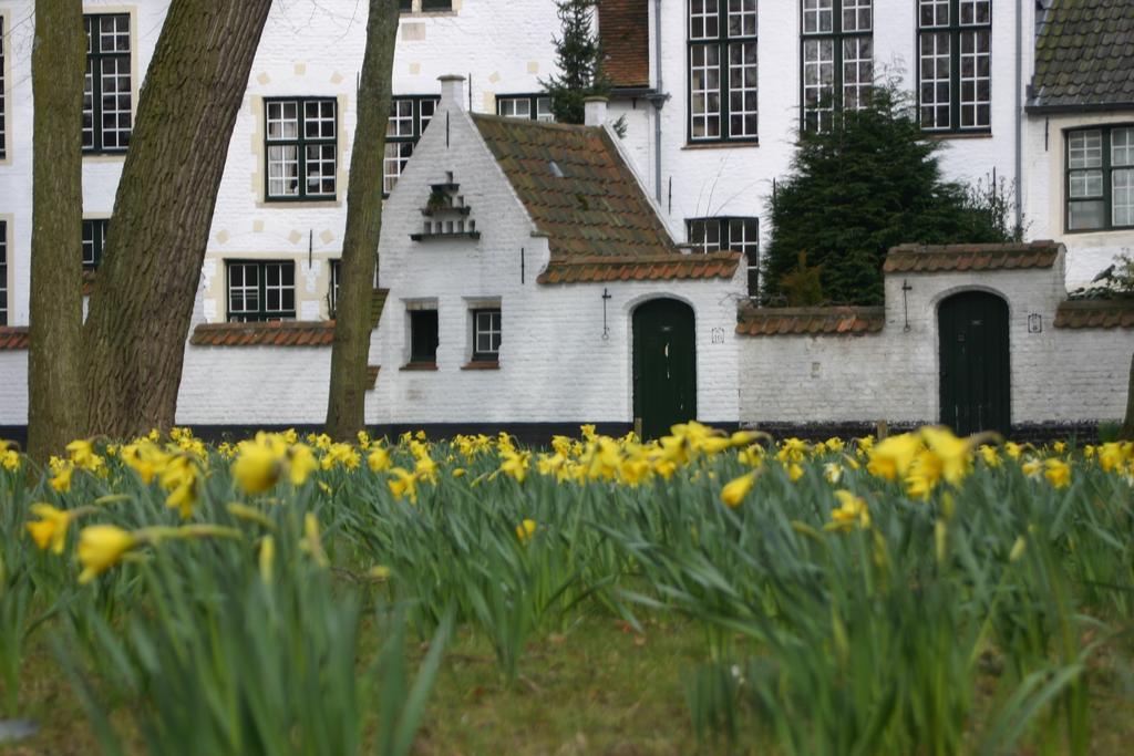 B&B Gray Brugge Eksteriør bilde